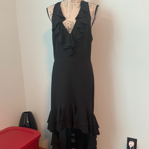 Belle Badgley Mischka High low Ruffle Dress - Picture 6 of 16